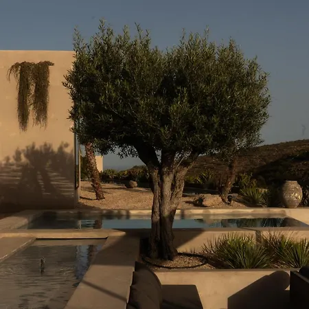 Ecohotel El Agua * Arico el Nuevo