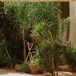 Ecohotel El Agua Arico el Nuevo
