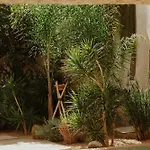 וילה Ecohotel El Agua