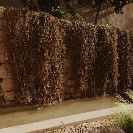 Ecohotel El Agua Willa 5*