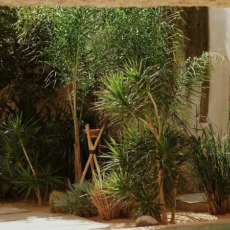 Willa Ecohotel El Agua