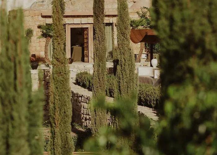 Ecohotel El Agua 5* Arico el Nuevo