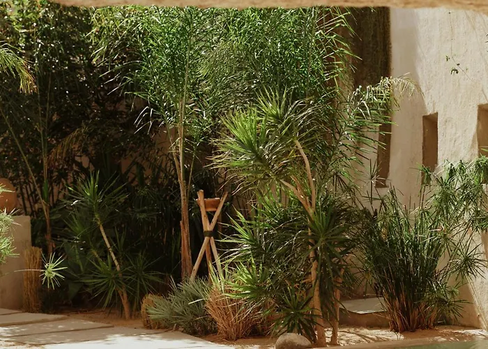 Ecohotel El Agua Arico el Nuevo